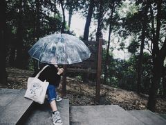 -火炉山森林公园