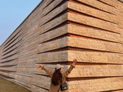 -盘龙城国家考古遗址公园