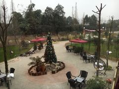 -森居forest休闲咖啡聚集地