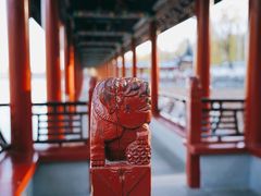 -北宫国家森林公园