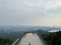 -紫金山山顶公园