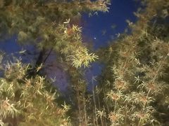 -三江森林温泉度假区