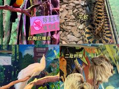-正佳雨林生态植物园