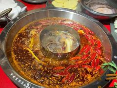 -谭鸭血老火锅(万象九宜城店)