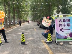 -御林古桑园
