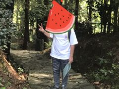 -瑶琳仙境