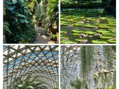 -上海辰山植物园