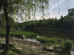 -新江湾城公园