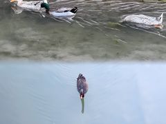 -上海辰山植物园
