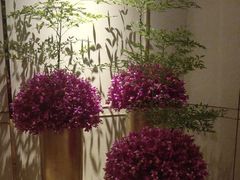 -彩丰楼·中餐厅(国家会展中心上海洲际店)