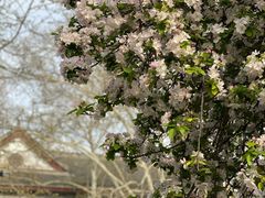 -山东师范大学(千佛山校区)