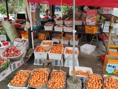 自助取餐区-正宗火盆自助烧烤·烤全羊·柴火鸡(龙泉山店)