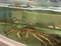 -白金汉爵大酒店·中餐厅(相城店)