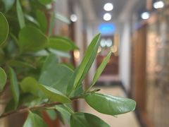 -海派美食•海鲜青岛菜(时代店)