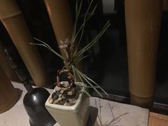 -竹里馆 ·茶食(奥体店)