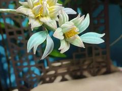 -中国丝业博物馆