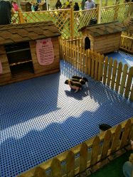 -萌宠亲子动物乐园(槐房万达店)