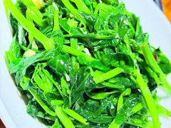 清炒豌豆尖-胡马八破·川菜小馆(高新万达店)