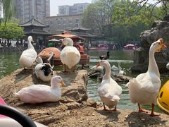 -团结湖公园
