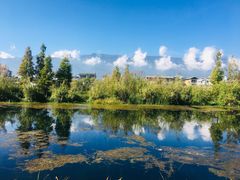 景点-才村湿地公园