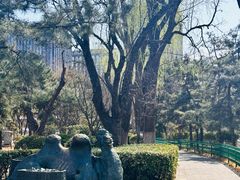 -顺城公园
