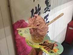 -野人先生现做冰淇淋(北京顺义祥云小镇店)