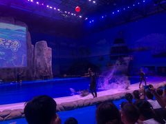 -华夏文旅海洋公园