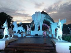 -清迈夜间动物园