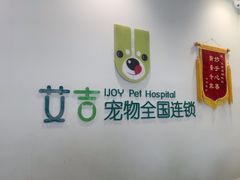 -艾吉宠物医院·疑难杂症转诊中心·猫友好(碧江路院)