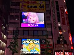 -秋叶原电器街