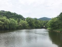 -黄陂区野村谷景区