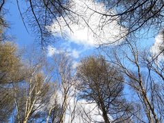 -白草畔自然风景区