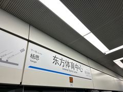 -东方体育中心(地铁站)