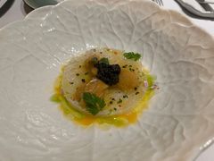 -蝶舍·MAISON PAPILLON