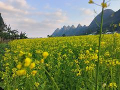 -万峰林风景区
