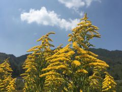 -井冈山风景名胜区