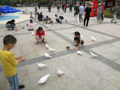 景点-鸽子窝公园