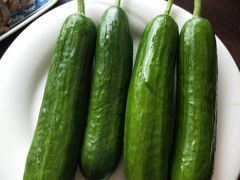 -老保定驴肉馆(云岗路店)