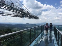 -梦幻奥陶纪景区