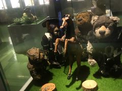 -成都泰迪熊博物馆