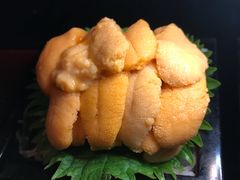 -地球美食剧场