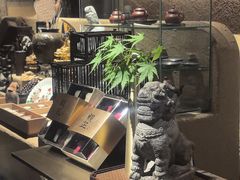 -觀芷隐轩