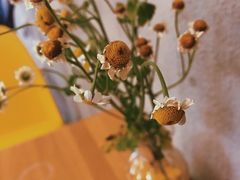 -W CAFE(甜爱路店)