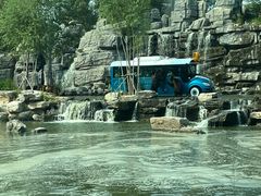 -北京野生动物园