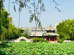 -莲池书院博物馆