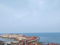 -养马岛旅游度假区