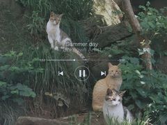 -崂山巨峰游览区