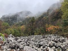 -陕西省红河谷森林公园