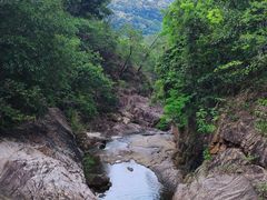 -广州白江湖森林公园