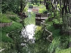 -北坞公园
